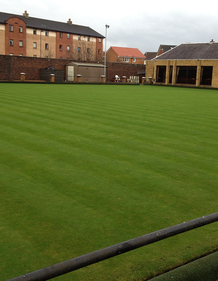Consultancy/Advisory work on Bowling Green